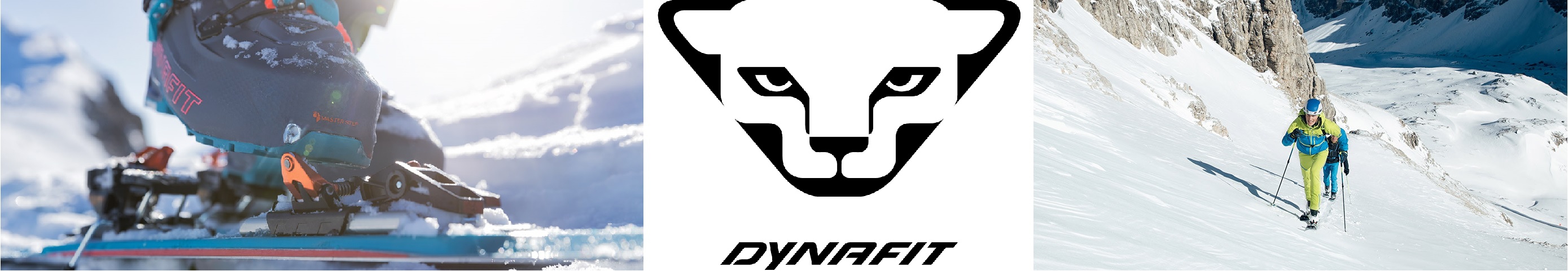 Baner_Dynafit.jpg